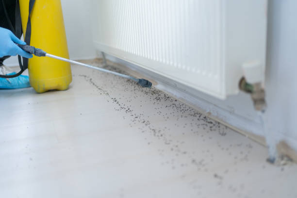 Best Pest Prevention Services  in Lillington, NC